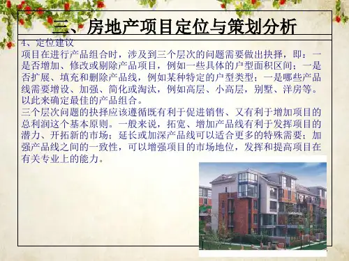 房地产项目定位与策划分析(ppt 50页)