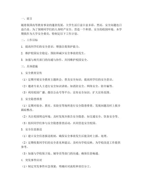 大学安全委员的工作计划