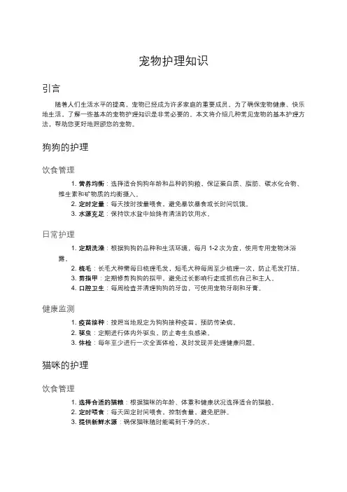 宠物护理知识