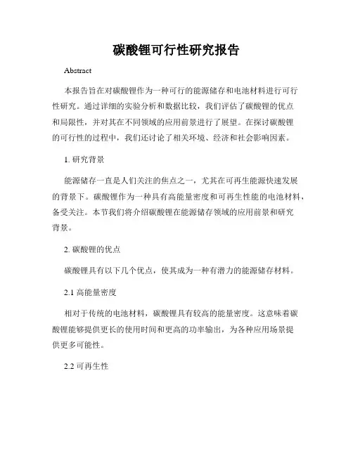 碳酸锂可行性研究报告