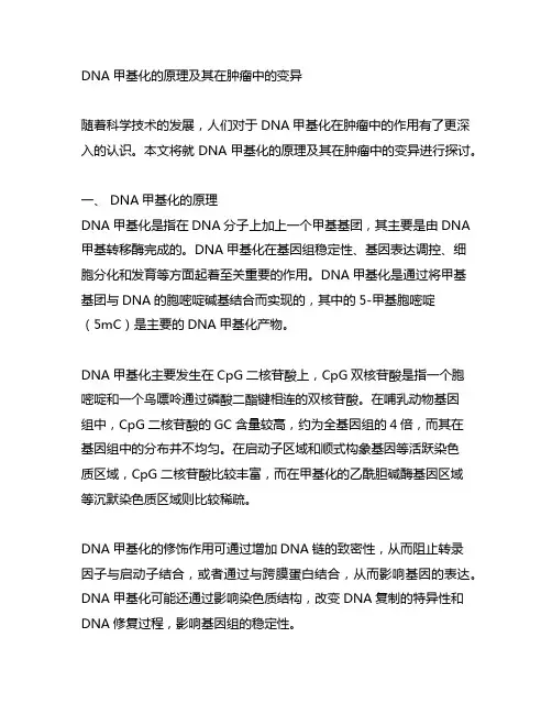 dna甲基化的原理及其在肿瘤中的变异。