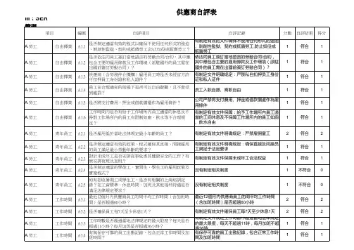 SER供应商自评表(模版)