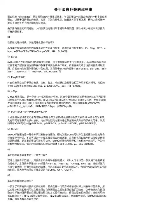 关于蛋白标签的那些事
