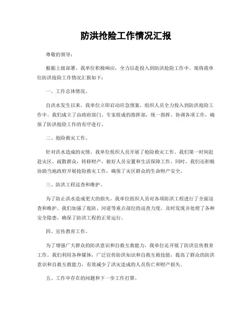 防洪抢险工作情况汇报