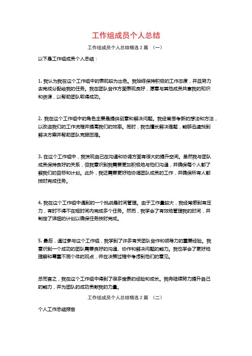 工作组成员个人总结2篇