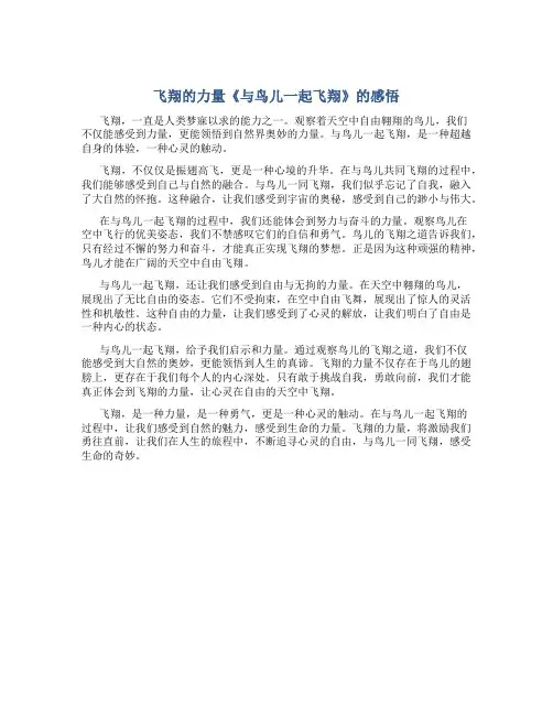 飞翔的力量《与鸟儿一起飞翔》的感悟