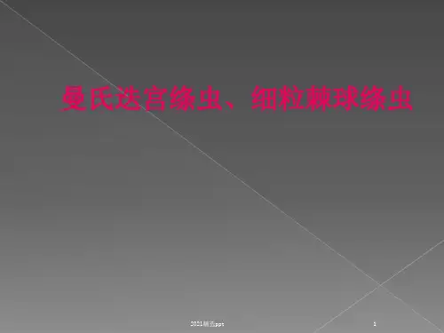 曼氏迭宫绦虫细粒棘球绦虫ppt课件