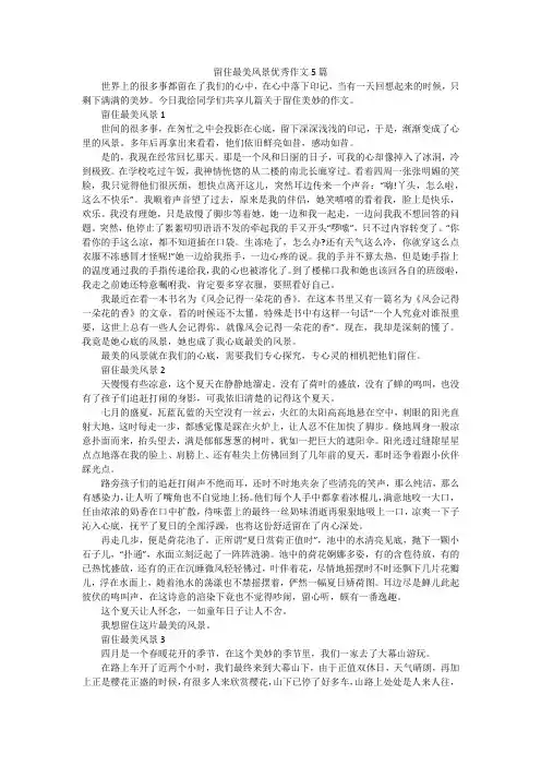 留住最美风景优秀作文5篇