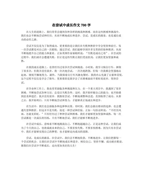 在尝试中成长作文700字