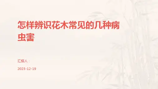 怎样辨识花木常见的几种病虫害