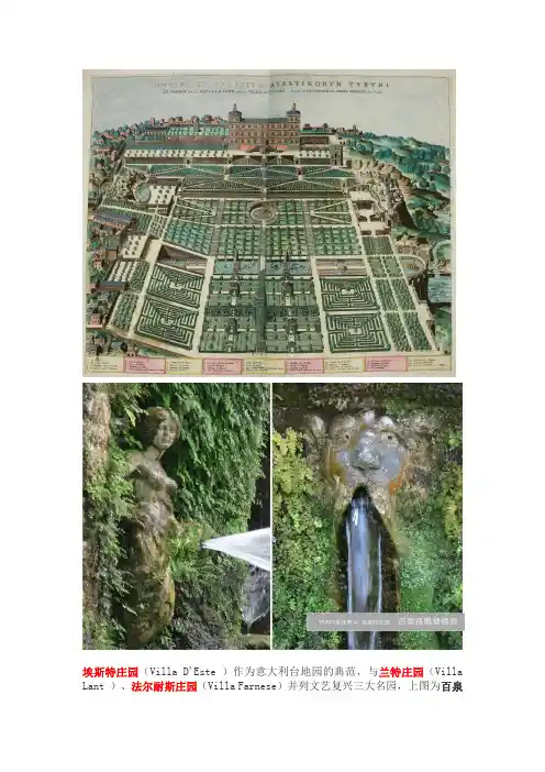 埃斯特庄园