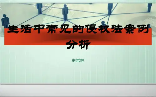 侵权责任法案例分析