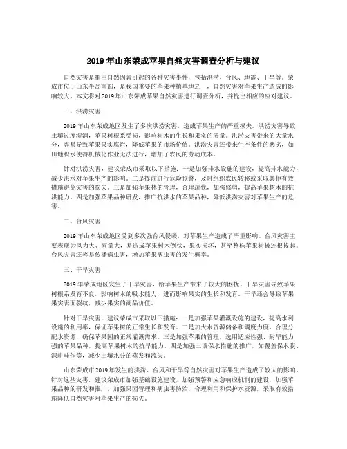 2019年山东荣成苹果自然灾害调查分析与建议
