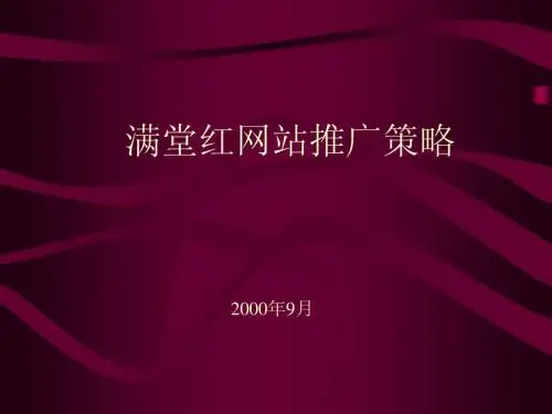 满堂红网站推广策略