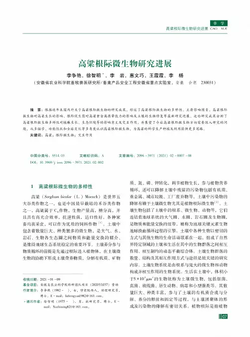 高粱根际微生物研究进展