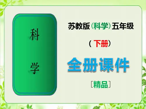苏教版小学五年级科学下册全册全套课件