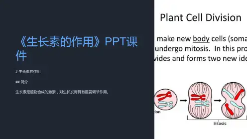 《生长素的作用》课件