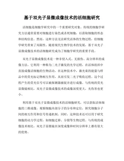 基于双光子显微成像技术的活细胞研究