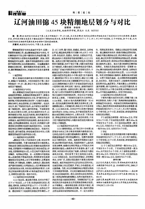 辽河油田锦45块精细地层划分与对比