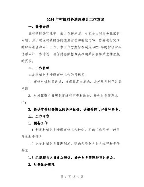 2024年村镇财务清理审计工作方案
