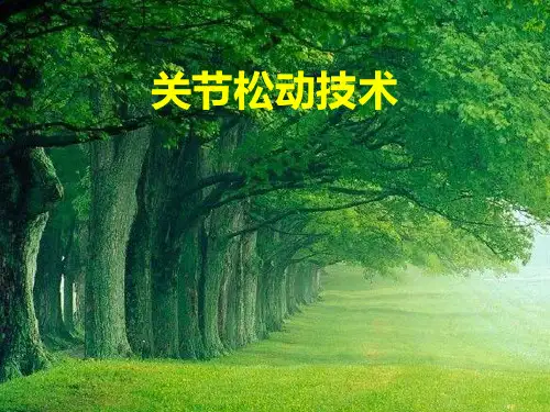 关节松动技术