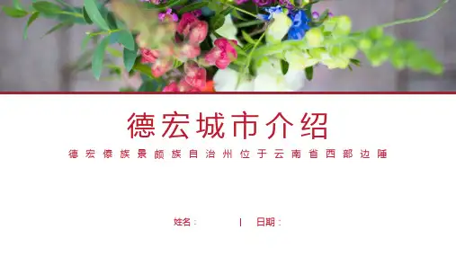 德宏介绍-德宏简介PPT(经典版)