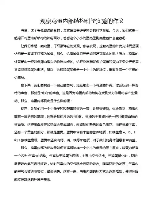 观察鸡蛋内部结构科学实验的作文