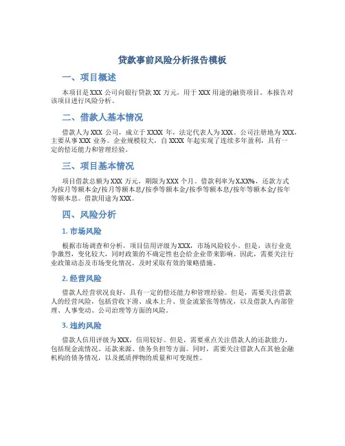 贷款事前风险分析报告模板