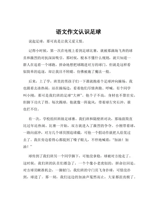 语文作文认识足球