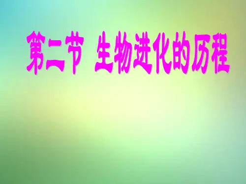苏教版生物八年级下册《生物进化的历程》