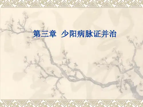 伤寒论课件：第三章  少阳病脉证并治