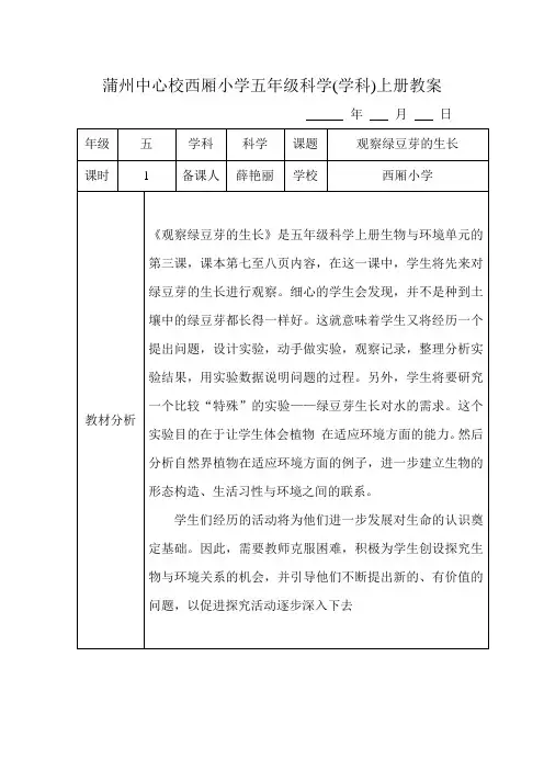 观察绿豆芽的生长