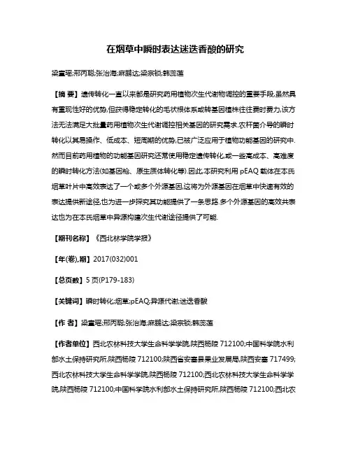 在烟草中瞬时表达迷迭香酸的研究