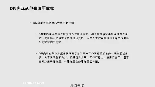 DN内注式单体液压支柱