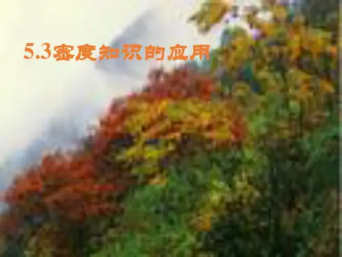 沪粤版八年级物理上册 5.3 密度知识的应用(共19张PPT)