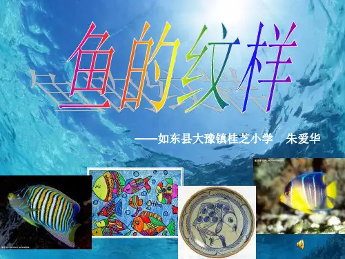 鱼的纹样ppt课件小学美术苏少版四年级上册