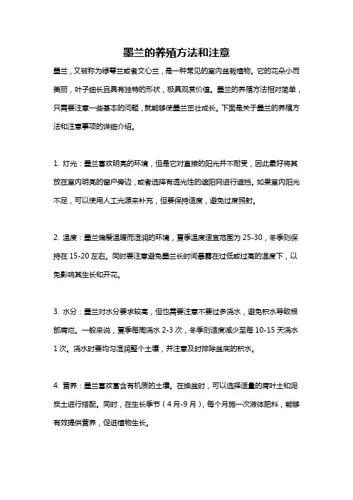 墨兰的养殖方法和注意