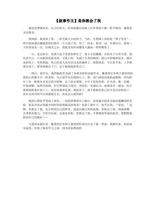 【叙事作文】是你教会了我