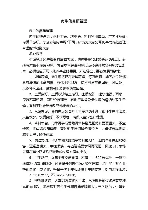 肉牛的养殖管理