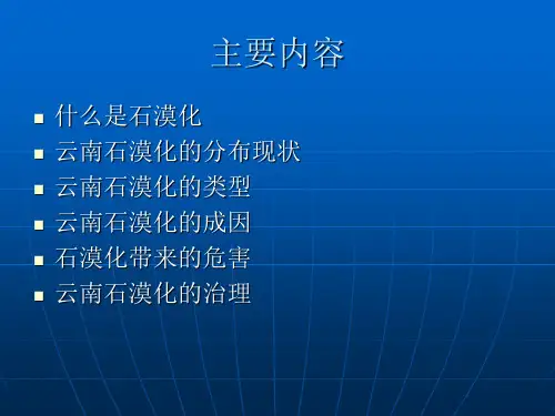 云南石漠化1
