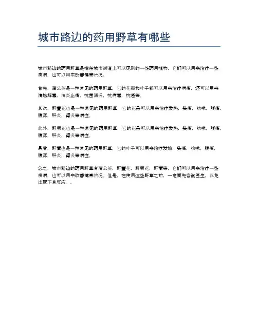 城市路边的药用野草有哪些