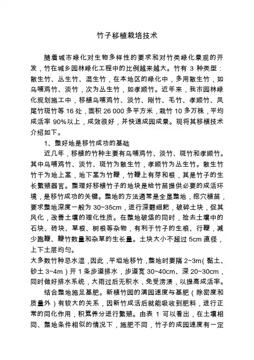 竹子移植栽培技术