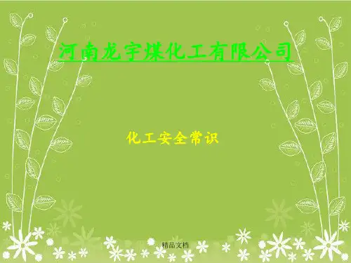 《化工安全常识》PPT课件