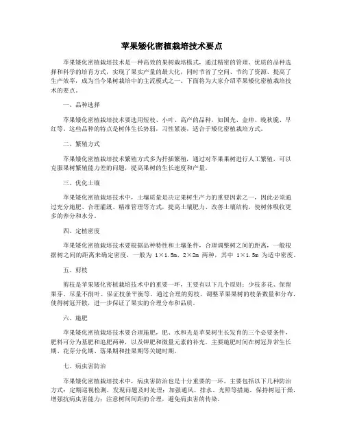 苹果矮化密植栽培技术要点