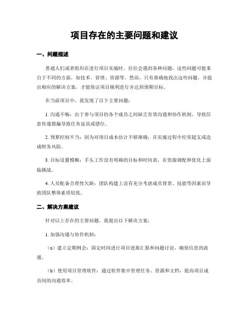 项目存在的主要问题和建议