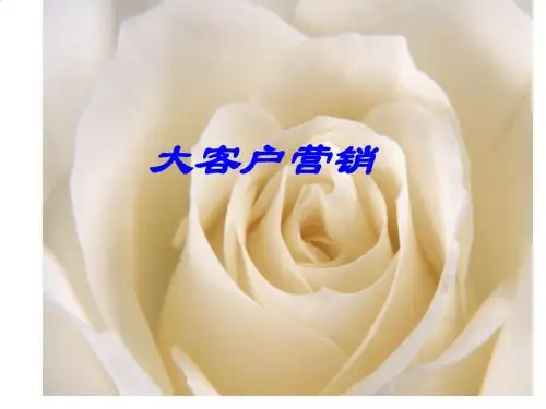 大客户营销技巧传授PPT课件( 18页)