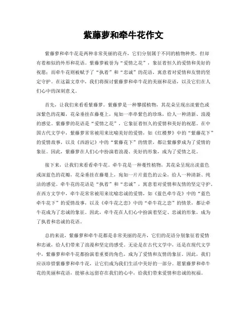 紫藤萝和牵牛花作文
