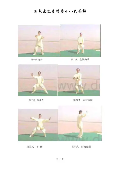 陈式太极拳精要十八式图解