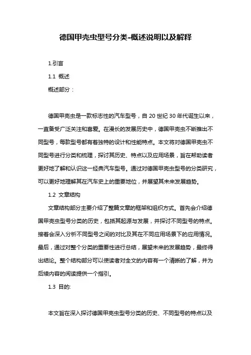 德国甲壳虫型号分类-概述说明以及解释