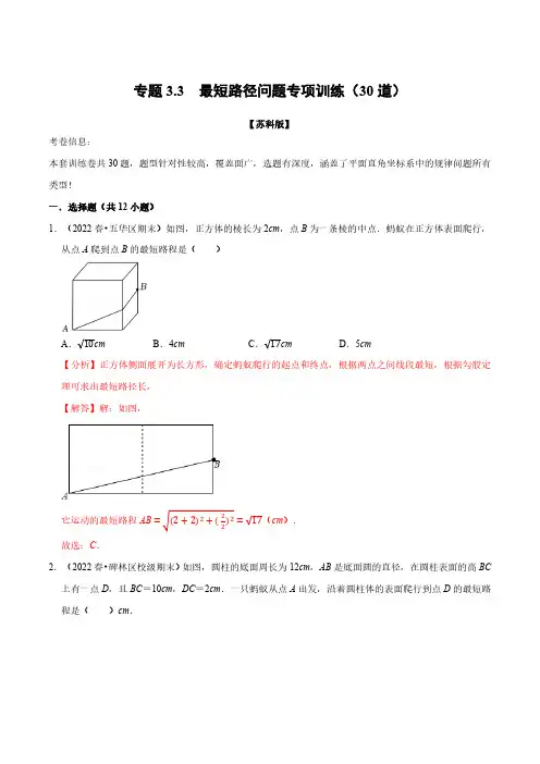 专题3.3 最短路径问题专项训练(30道)(举一反三)(苏科版)(解析版)